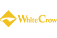 次世代ドローン会社「White Crow(ホワイトクロウ)」が大阪で発足!枠に囚われない発想×女性目線の細やかなクリエイティブ力が活きる最先端のドローンショーを関西で提供開始