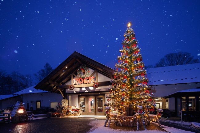 レストランROCK前に設置された高さ約5.4mのクリスマスツリー