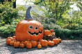 【山梨県・萌木の村】「萌木の村ハロウィンマンス2025~魔女とカボチャのガーデンパーティー」(10月1日~31日)開催!