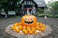 【山梨県・萌木の村】1000個以上のカボチャでガーデンをデコレーション「萌木の村ハロウィンマンス2026」（10月1日～31日）開催！