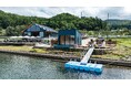 Hakuba Zekkei Sauna "ao"が10/11にグランドオープン!オープン後2ヶ月間で約3万人が来場したao LAKESIDE CAFE秋の新メニューもスタート