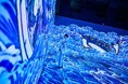 【開催中】「動き出す浮世絵展 HIROSHIMA」の公式記録映像を公開。世界で累計50万人以上を動員した浮世絵の世界に没入できる体感型デジタルアートミュージアムが9月6日まで開催。広島の浮世絵展示も。
