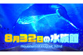 水族館を舞台にしたPC向けの8番ライクゲーム「8月32日の水族館」が株式会社ヴァイスより発売。リリースを記念したセールも同時開催