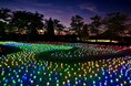 【新潟県小千谷市】イルミネーションイベント「オヂヤホタル OJIYA HOTARU illumination」を実施します(夏期:8月19日-)