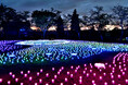 【新潟県小千谷市】イルミネーションイベント「オヂヤホタル2026～ OJIYA HOTARU illumination～」を実施します（夏季：8月18日～）
