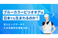 月給70万円以上の求人数はホワイトカラーがブルーカラーの7倍。日本版「ブルーカラービリオネア」には高い壁がある一方、一部で高収入案件も【2026年4月度 ブルーカラービリオネア実態調査レポート】