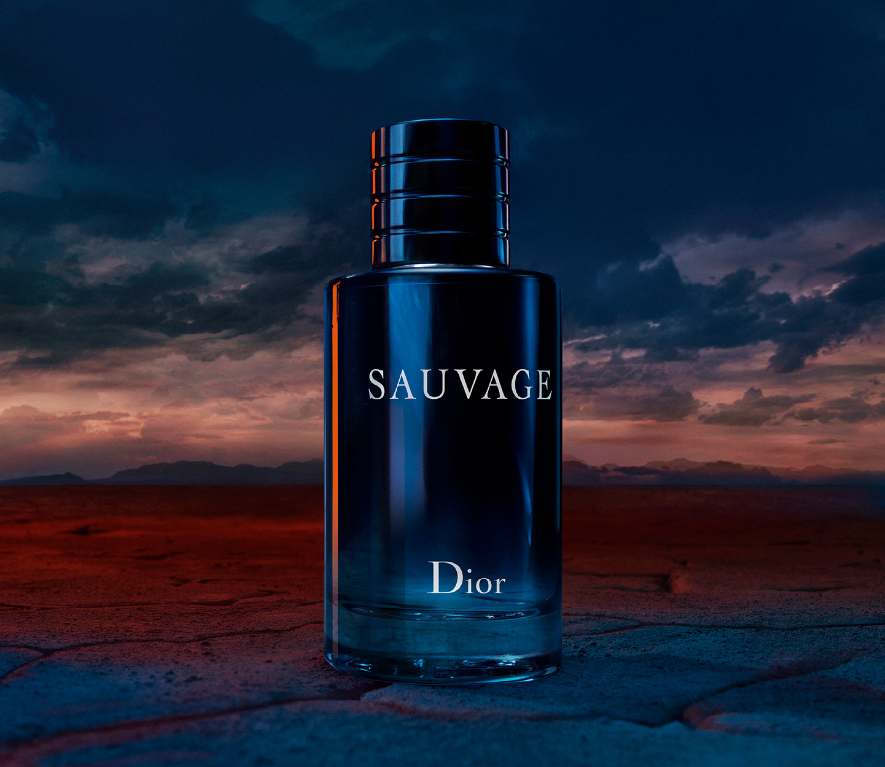 SAUVAGE 100ml メンズ 香水 Christian Dior