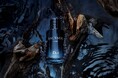 水の力が宿る、新感覚のフレッシュさ「ソヴァージュ オー フォルト」 誕生
