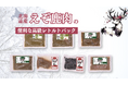 愛犬の健康をサポート!国産えぞ鹿肉と話題の「トライプ」を使用したレトルトフード「ROCCA DOG」がクラウドファンディングを2024年9月27日に開始