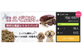 愛犬の健康をトライプで!レトルトフード「ROCCA DOG」がクラウドファンディングで目標金額を達成!
