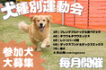 【3月から開始】同じ犬種だけで遊ぶ・楽しむ！オフ会感覚で参加できる「犬種別運動会」をエルズパーク長瀞で毎月開催。