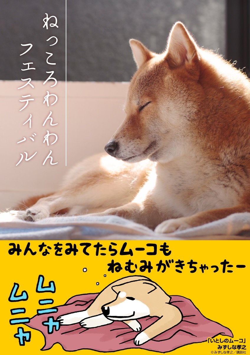 Ebookjapanが犬の日 11月1日 に募集した 犬の寝姿写真集を無料配信開始 総勢127匹の ねっころわんわん 株式会社イーブック イニシアティブ ジャパンのプレスリリース