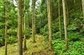 【NEW OPEN】<国指定史跡>等妙寺旧境内が奈良山等妙寺史跡公園としてオープン