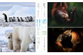 富士フイルムの企画写真展「希望(HOPE)」のトークイベントに代表の伊藤が登壇します