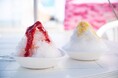 素材本来の甘さを楽しむ全5種のかき氷を江ノ島で販売!着色料・人工甘味料不使用で爽やかな味わいをお届け