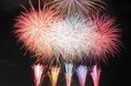 2024年10月5日開催「第二回 流山本町ナイトマルシェ」