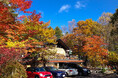 【山梨・八ヶ岳】紅葉の道の先に、森で過ごす豊かな時間を。八ヶ岳倶楽部が提案する秋のドライブ旅