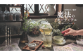【2025年5月1日販売開始】植物療法士監修の体質別ハーブシロップに「ミニサイズ」「ギフトセット」が新登場