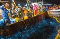 ここでしか味わえない、光の感動。ほたるいか海上観光2025乗船予約のweb受付を間もなく開始します!