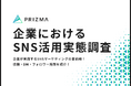 【企業におけるSNSの活用実態調査】SNSマーケティングの最前線!投稿内容・DM・フォロワー施策を紹介!