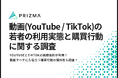 【動画マーケに役立つ!若者の動画利用実態】YouTubeとTikTokの視聴目的が判明!コンテンツと購買行動の関係性も調査