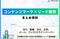 【コンテンツマーケ×リード獲得施策 まとめ資料】SEO、動画、SNS、広告、メール、プレス/ホワイトペーパーのすべてを徹底比較!