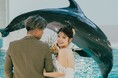 『堺×イルカ×フォトウェディング』大阪堺の都市型イルカふれあい施設でのフォトウェディング。イルカからのキスショットが撮れるのはここだけ!