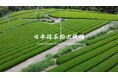 ハラール認証抹茶の仕入れ・卸売に対応。日本抹茶輸出機構（JMEX）、東南アジア・中東向けに業務用抹茶の輸出卸売を強化