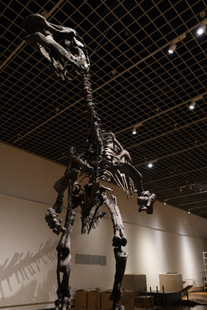 ２０２１年夏 恐竜展覧会 ジュラシック大恐竜展 を旧名古屋ボストン美術館 金山南ビル にて開催決定 テレビ愛知株式会社のプレスリリース
