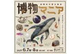 100ブース以上出展!自然科学の創作グッズ・標本の展示即売イベント『博物マニア』