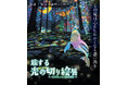 累計11万人を動員した、体験型アート展『旅する光の切り絵展 ~くうそうって、まほうだよ~』夕方にゆったり鑑賞を楽しめる”ナイト営業”を期間限定で実施!【団体割引も開始】