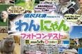 愛するわんちゃん・ねこちゃんがCMデビューのチャンス!「県民共済 presents わんにゃんフォトコンテスト」募集スタート‼