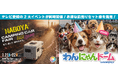 【同時開催】「わんにゃんドーム」×「名古屋キャンピングカーフェア」お得な前売りセット券を販売！
