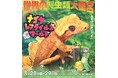 いよいよ今週末開催！ナゴヤレプタイルズワールド2026春