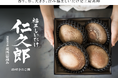 【限定100箱】独自の菌床栽培によって生まれた直径11cm超の旨味溢れる椎茸福王しいたけ「仁久郎(じんくろう)」