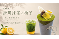 【浅草茶屋たばねのし大阪心斎橋店】夏を彩る涼やかな和クレープ「掛川抹茶と柚子」が5月19日より期間限定で新登場！爽やかな柚子シャーベットと抹茶の絶妙なマリアージュ