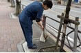 【地域貢献】株式会社ヒューマンアジャスト、毎月第三土曜日は「街をきれいにする日」。全院周辺ゴミ拾いプロジェクトを開始。地域住民への感謝を込めて。