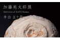 「加藤亮太郎展 半白 五十盌」しぶや黒田陶苑にて2025年11月28日（金）から12月7日（日）まで開催