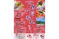 【9月27日(土)出発】心も体も満腹!甑島食いだおれツアーを開催します!