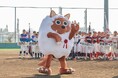今年もウルフィが始球式に登場！小学生の硬式野球「ウルフィキャラバン少年野球大会」～メ～テレは夢を追う球児を応援します～