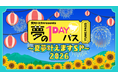 憧れのお仕事を１日体験できる夢の番組オペラ歌手志望の小学生！サーティワンの舞台裏!?現役サッカー選手が小学校の先生にベストマザー賞の相武紗季、名古屋の英雄を父に持つ大河俳優・佳久創が彼らを見守ります！