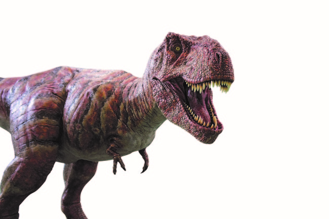 ティラノサウルスのロボット　©ココロ　　