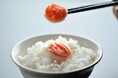 エスパル福島で新たな食の体験を。温泉たまご&プリンとアサイーボウルの専門店が期間限定でオープン!
