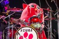 にゃんごすたーも登場!11月9日(土)まつど音楽フェスティバルを開催!