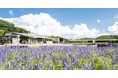 みどりの愛護が紡ぐ地方創生松戸市が積極的に取り組む公園整備やSDGsをご紹介