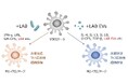 乳酸菌エクソソーム（細胞外小胞；EVs）による画期的な疾患治療薬創製へ。LABバイオテックが新規眼科疾患治療薬創製に向けた共同研究を開始。