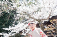 桜の下で家族写真を。春しかできない「桜ロケ撮影イベント」今年も開催します！《テレビ取材も受付け》ております。