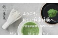 マクアケ紙の茶筅プロジェクト(開始)