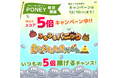 PONEYふるふるパニック・もぐらたたきゲームスコア5倍!メダル大量GETキャンペーン開催中!