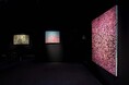 現代アーティスト中北紘子作品展「Apoptosis」開催